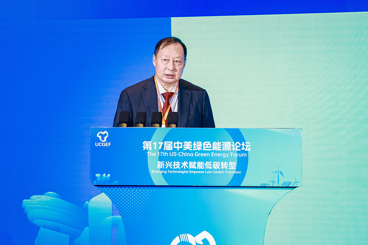 中国电机工程学会副理事长、中国工程院院士郭建波